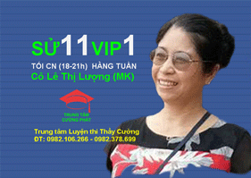 Sử 11 VIP1